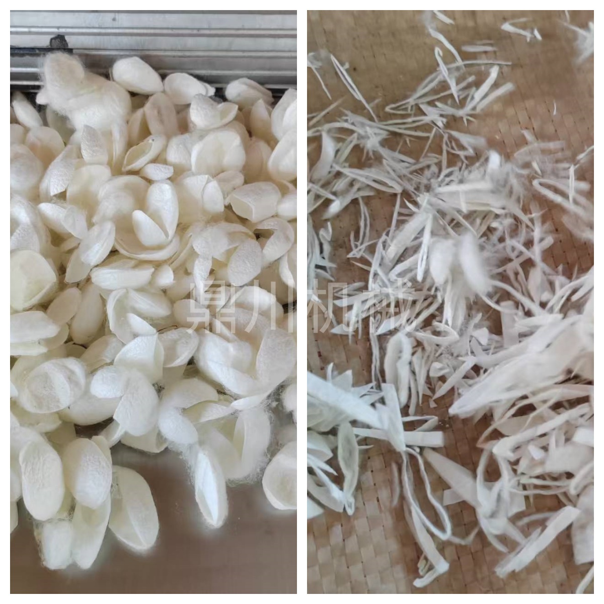 蠶繭殼切絲對(duì)比