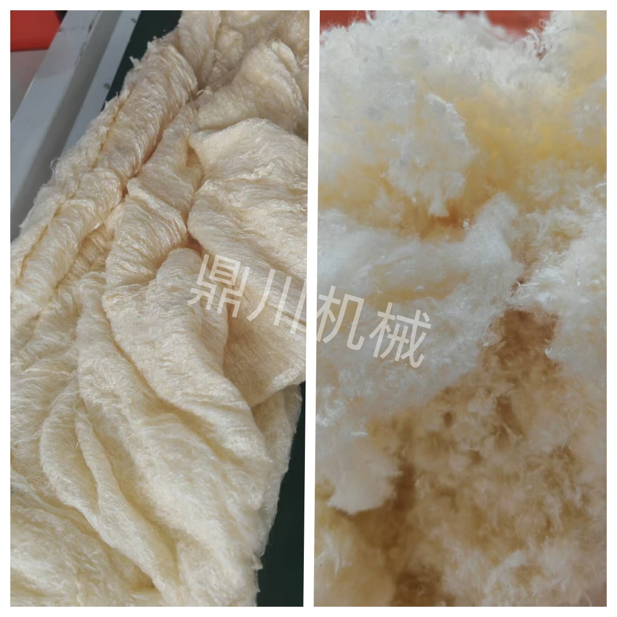 牛奶絨切斷對(duì)比